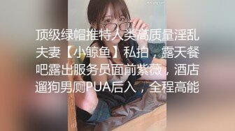 顶级绿帽推特人类高质量淫乱夫妻【小鲸鱼】私拍，露天餐吧露出服务员面前紫薇，酒店遛狗男厕PUA后入，全程高能