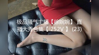 极品骚气主播【徐婉婉】 直播大秀合集【 252V 】 (23)