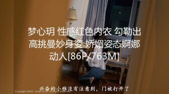 梦心玥 性感红色内衣 勾勒出高挑曼妙身姿 娇媚姿态婀娜动人[86P/763M]