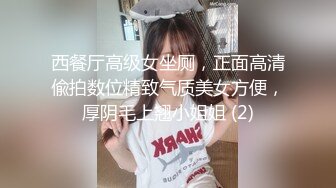 西餐厅高级女坐厕，正面高清偸拍数位精致气质美女方便，厚阴毛上翘小姐姐 (2)