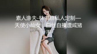 素人渔夫-林书辞私人定制—天使小仙女，白丝自摸遭咸猪手