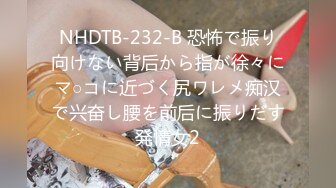 NHDTB-232-B 恐怖で振り向けない背后から指が徐々にマ○コに近づく尻ワレメ痴汉で兴奋し腰を前后に振りだす発情女2