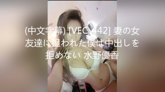 (中文字幕) [VEC-442] 妻の女友達に狙われた僕は中出しを拒めない 水野優香