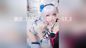 黑珍_2023-04-22_02-53_28.2min_0